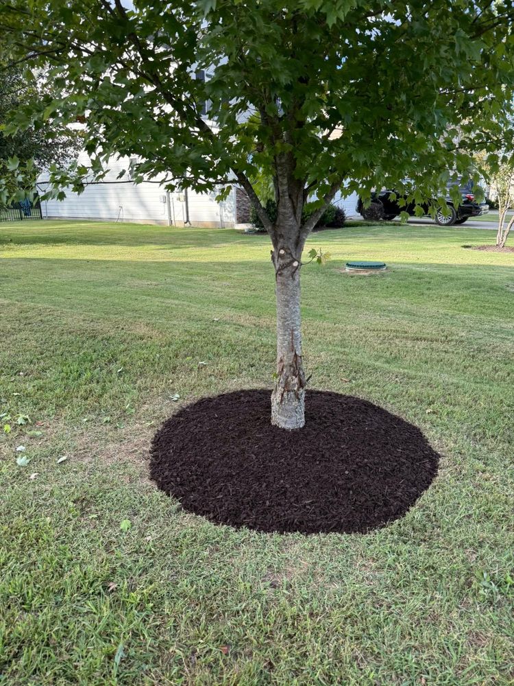 All Photos for Arnold’s Outdoor Solutions in Woodbury, TN