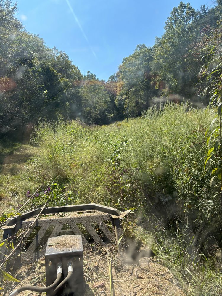 All Photos for Gregory Grass and Lawn in Lafayette, TN