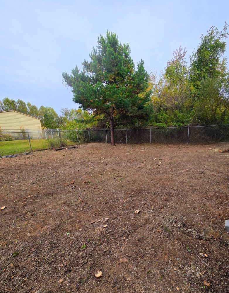 Clean ups and invasive plant management  for C4 TrueVision Renovations in Asheville, NC
