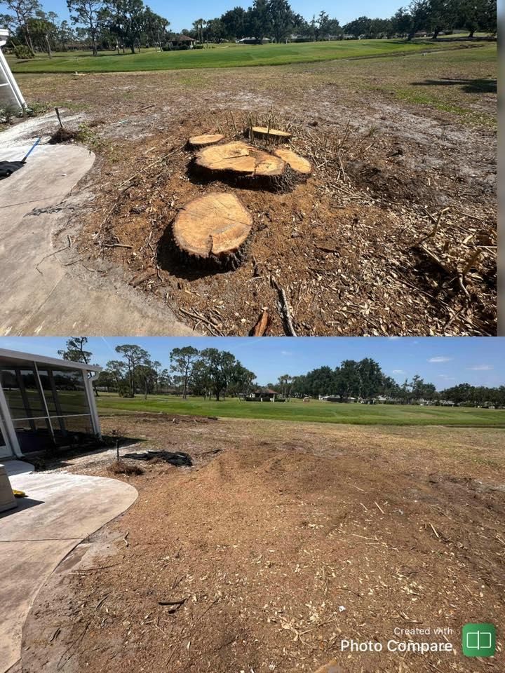 All Photos for Adam's Tree and Stump Care in Sarasota, FL