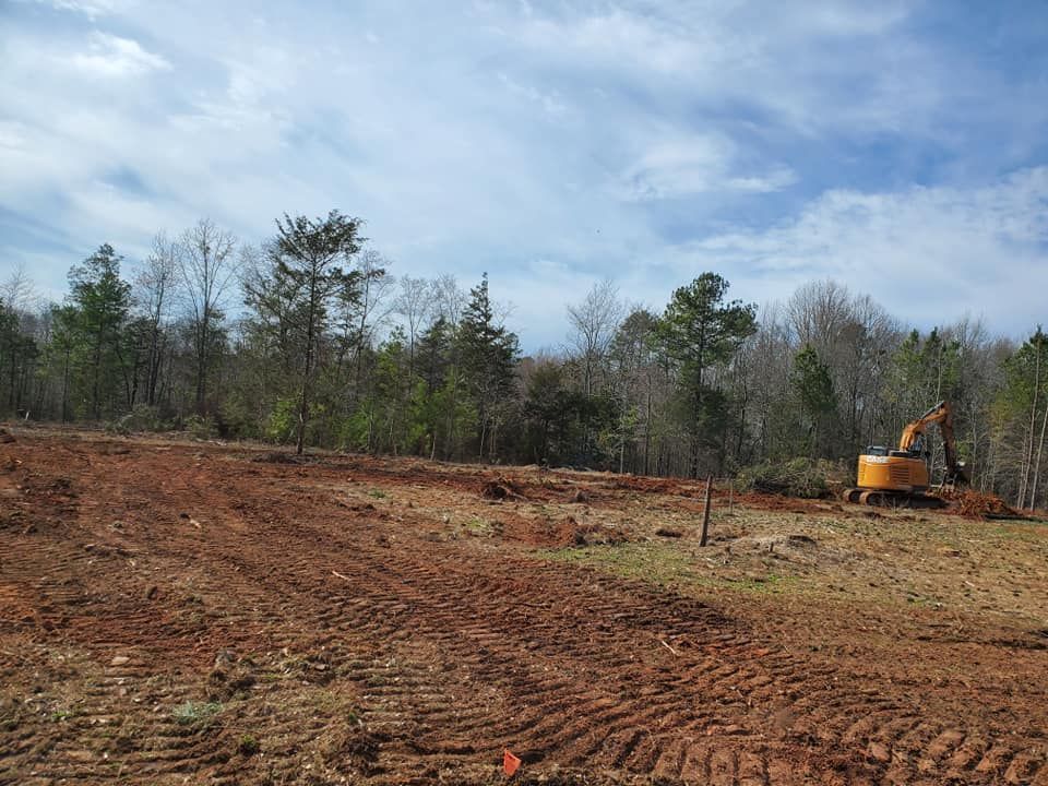 All Photos for D&S Tree and Demolition Services in Laurens, SC