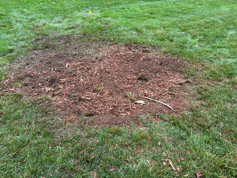All Photos for Conrad's Stump Removal in Columbus, IN