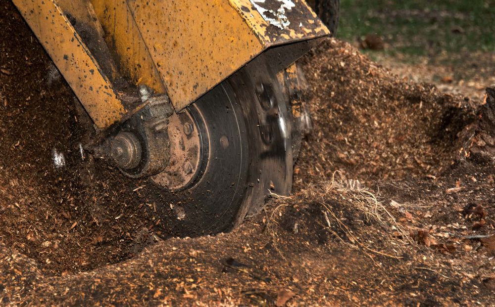 Our Stump Removal service efficiently eliminates tree stumps, enhancing your landscape's appearance and preventing pest infestations, while ensuring seamless integration with surrounding greenery for a pristine and safe outdoor environment. for Tesla Tree Trimming in Kempner, TX