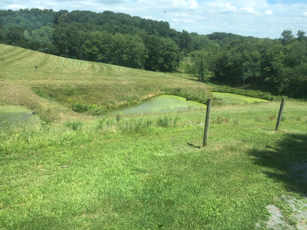 Our Boom Mowing and Pole Saw service clears overgrown ditches, fence lines, roadsides, and hard-to-reach limbs safely and efficiently, helping homeowners improve property appearance, access, drainage, and overall maintenance with ease. for Cox's Ag Services, LLC in Evans City, PA