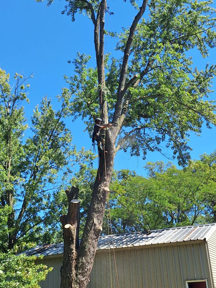 All Photos for Highborn Tree Service in Wheatfield, IN