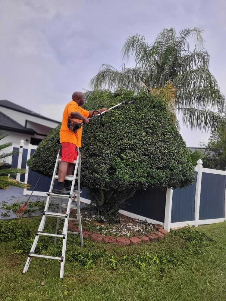 Discover our other lawn services to enhance your outdoor space. Transform your yard with expert care, ensuring lush, vibrant results that keep your home looking its best all year round. for V Man Services LLC in Asbury Lake, FL