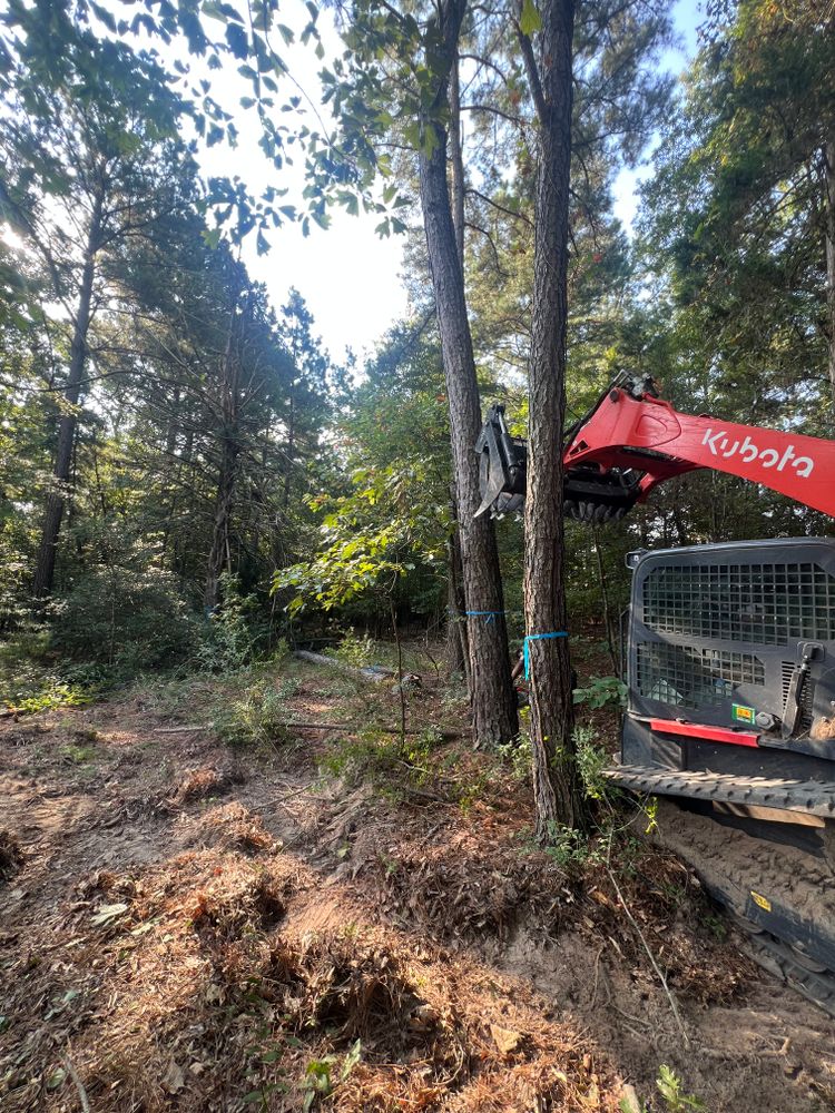 Tree Removal for Best Price Tree Service in Hallsville, TX