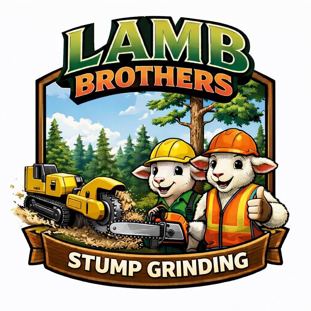 All Photos for Lamb Brothers Clearing in Murray, KY