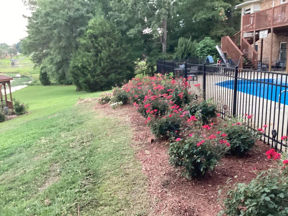 All Photos for Xtreme Landscaping & Lawn Care in Lincoln, AL