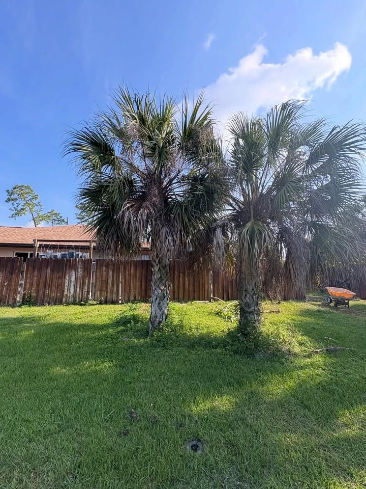 All Photos for R&R GreenWorks in North Port, FL