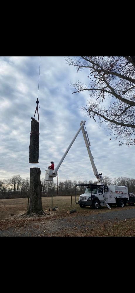 All Photos for Melnyk’s Tree Service in Salem County, NJ