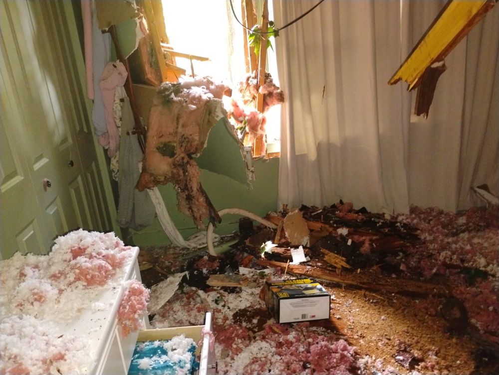 All Photos for Bulldawg Disaster Response in Atlanta, GA