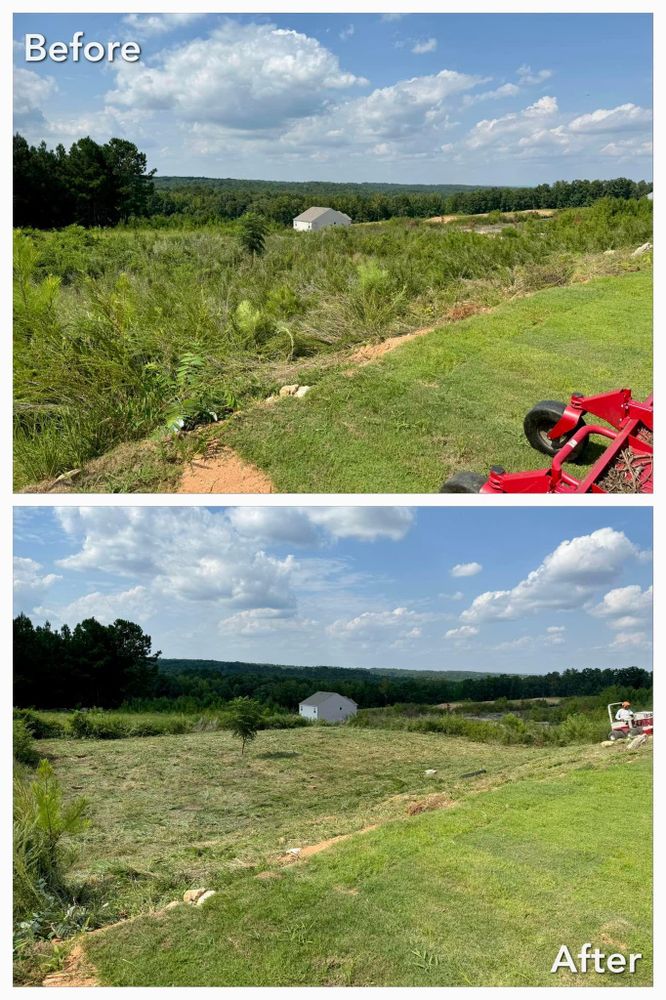 Brush Cutting and Removal for Fayette Property Solutions in Fayetteville, GA