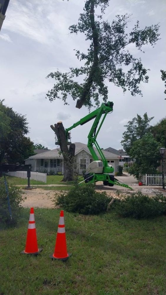 All Photos for Daniel Hickey’s Tree Service in DeLand, FL