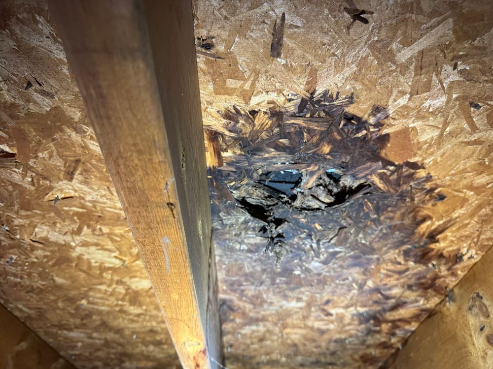 All Photos for FNS Exterior Consulting LLC, Powered By Live OAK in Cumming, GA