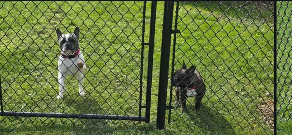 All Photos for Backyard Fence Solutions LLC in Uniontown, PA