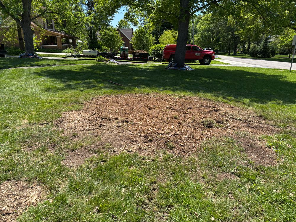 All Photos for Conrad's Stump Removal in Columbus, IN