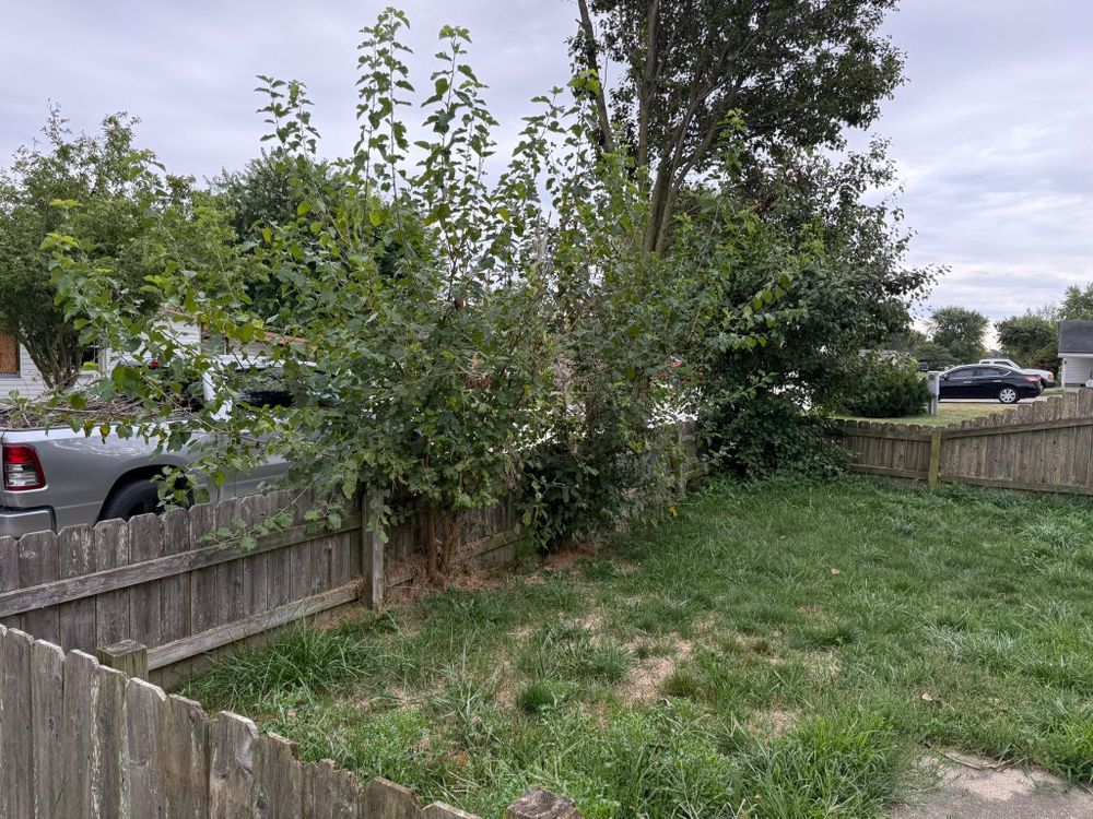 All Photos for Bearforce Lawn Care LLC in Greenfield, IN