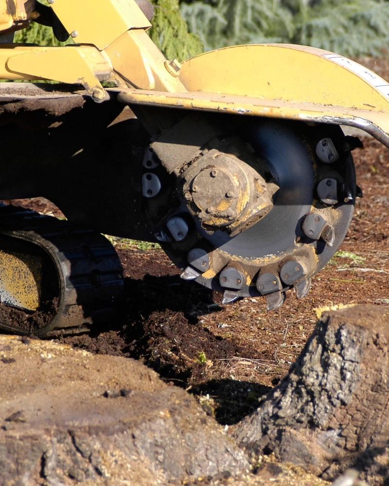 All Photos for Oakwood Tree Removal LLC in Oak Creek,  WI