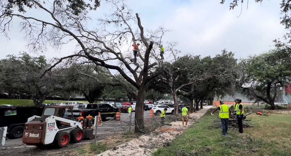 All Photos for 210 Tree Care in San Antonio, TX