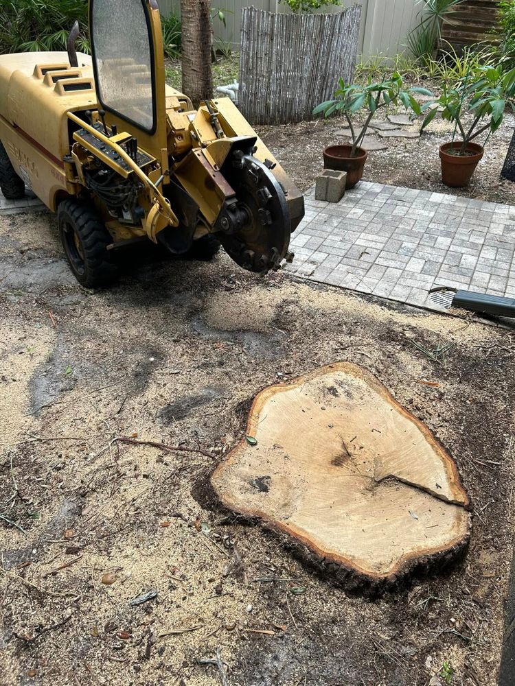 Our stump removal service efficiently eliminates unsightly tree stumps, enhancing your property's beauty and safety. Using specialized equipment, we ensure a clean finish that prepares the area for new landscaping. for Grizzly Stump Grinding in Sarasota, FL