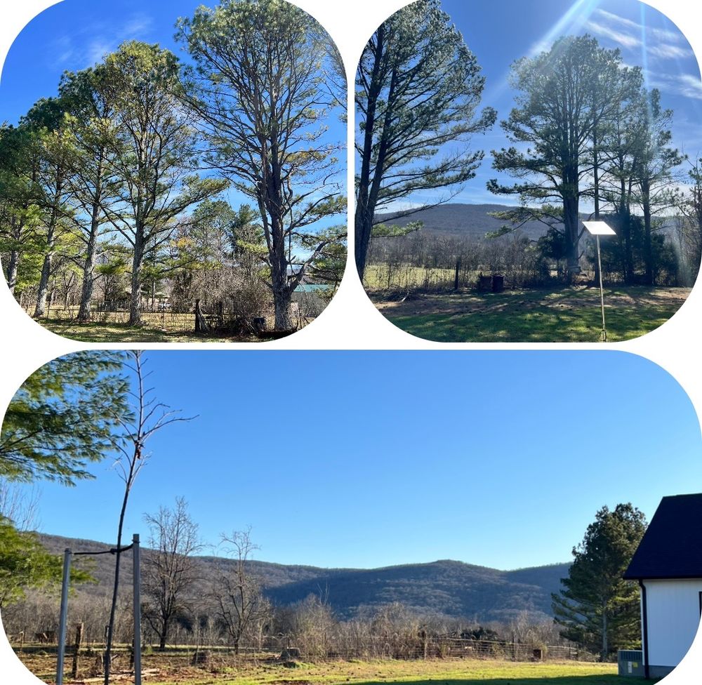 All Photos for McBee’s Tree Service in Sewanee, TN