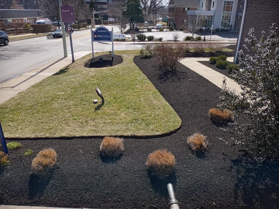 Landscaping for GM Landscaping  Construction LLC in Philadelphia, Pennsylvania