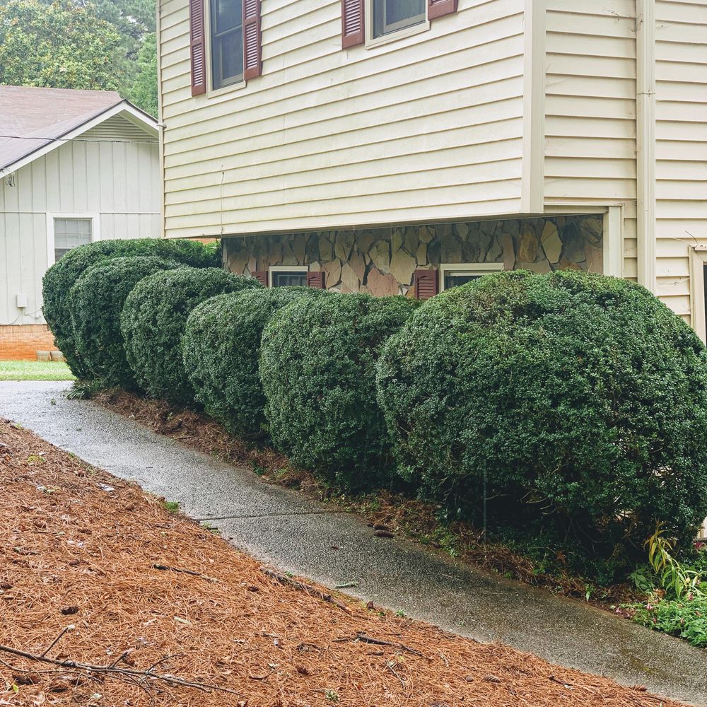 Landscaping for Two Brothers Landscaping in Atlanta, Georgia