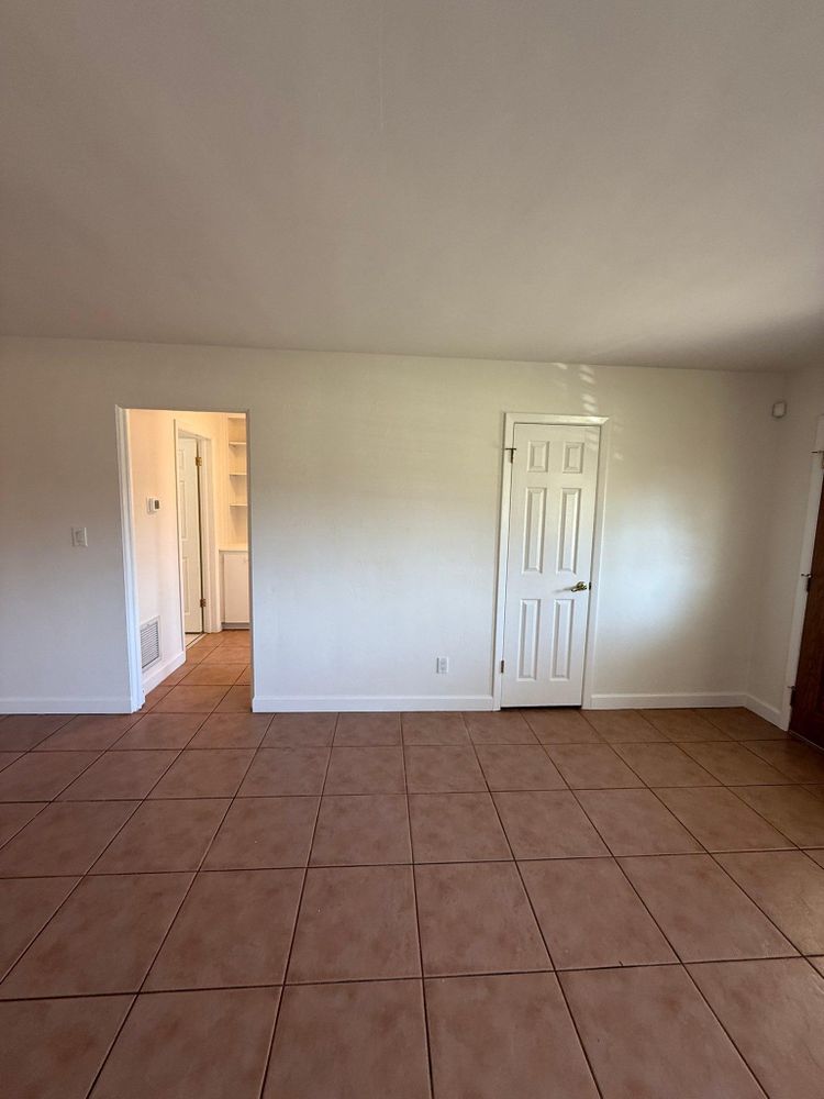 All Photos for Escorpio Painting in Tampa, FL