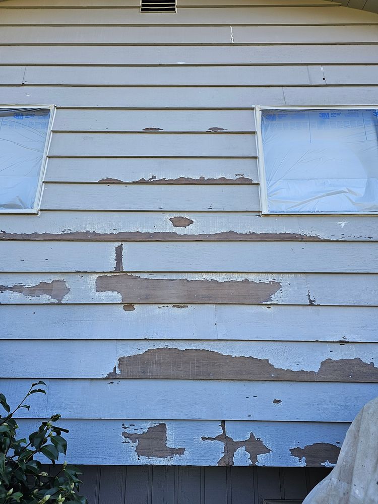 All Photos for Home Pros in Maple Falls, WA