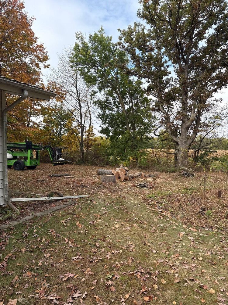 All Photos for Fransen's Tree Service  in Freeport, IL