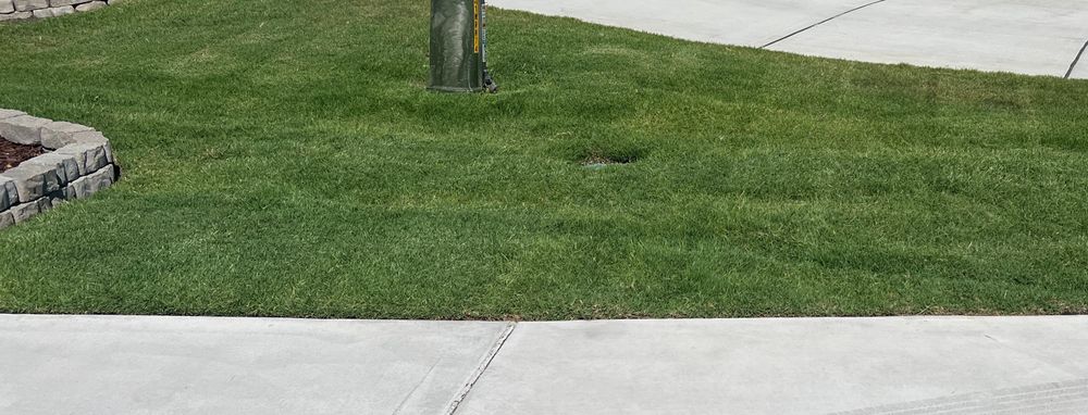 All Photos for Everett Lawn Care in Raleigh, NC