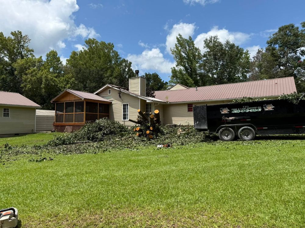 Tree Removal for T N L - Tree and Land Service in Reynolds, GA