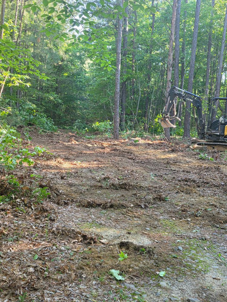What is land clearing? Our service removes trees, brush, stumps, and debris to prepare your property for construction, landscaping, drainage improvements, or safer use with efficient professional excavation equipment. for 9 Oaks Tree Service and Excavation in Drakes Branch, VA