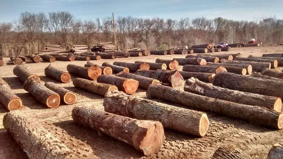 Logging for Pure Iowa Logging in Cedar Rapids, Iowa