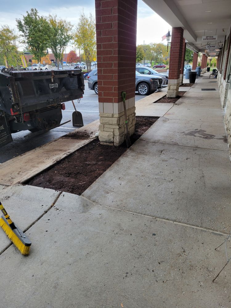 All Photos for Contemporary Landscape in St. Louis, MO