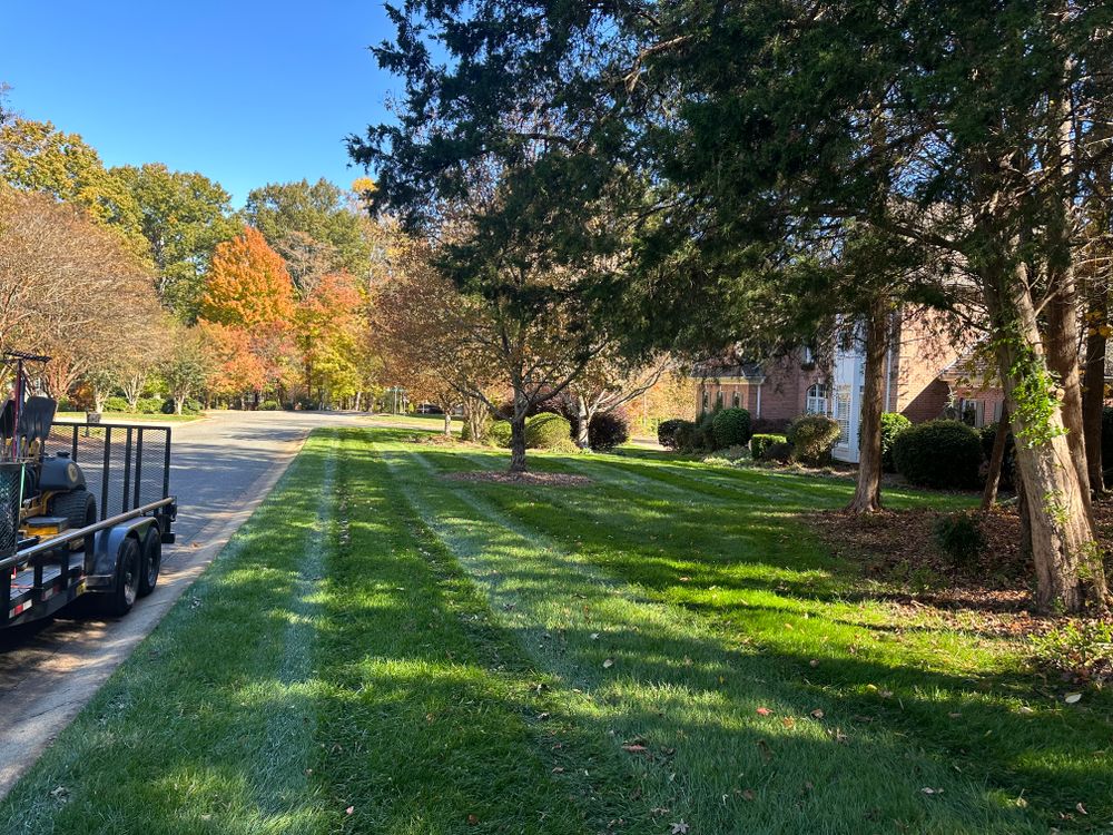 All Photos for Pecina Pine Needles in Monroe, NC