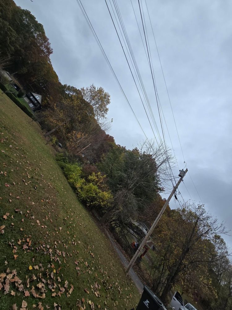 All Photos for M&L Lumber and Excavating in Jonesborough, TN