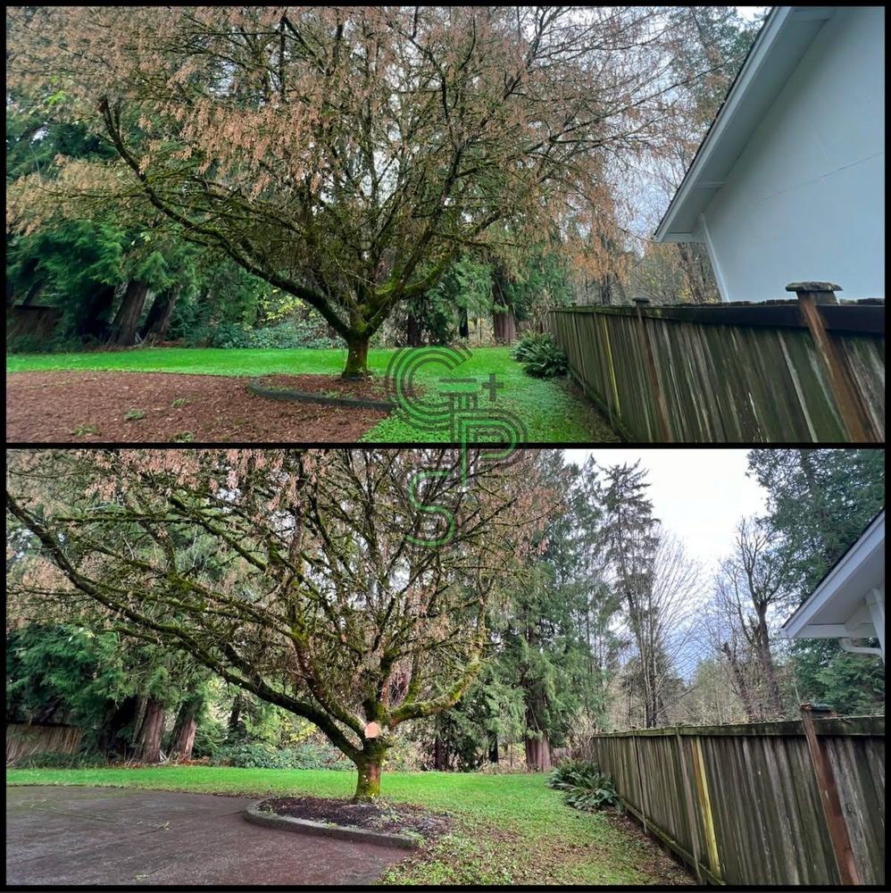 Fall Clean Up for Golovin Property Services LLC in Marysville, WA