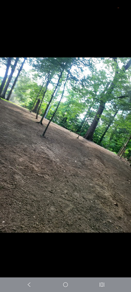 All Photos for 5 Star Land Management in Beech Bluff, TN