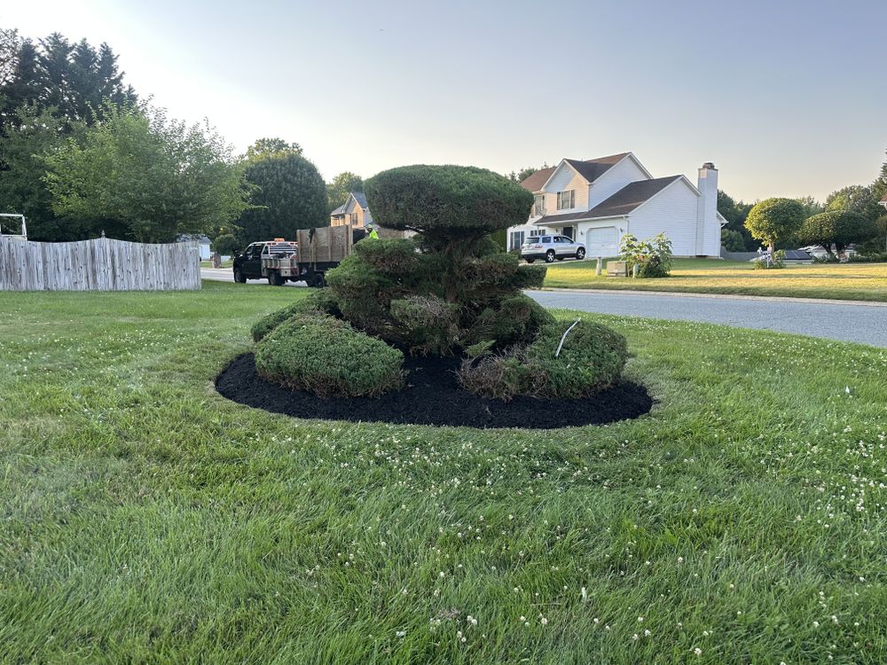 All Photos for A Better Lawn Service LLC in Bel Air, MD
