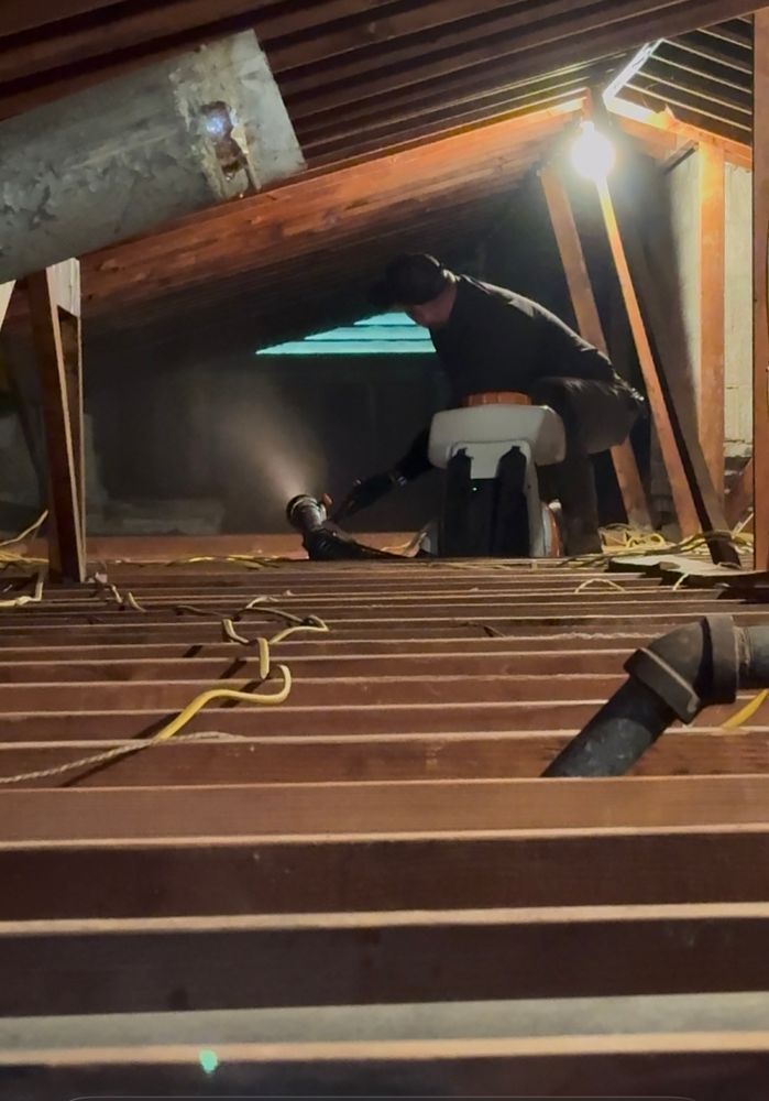 Crawlspace/Attic Renovation  for All-In Pest Control & Home Solutions in Greene County, IN