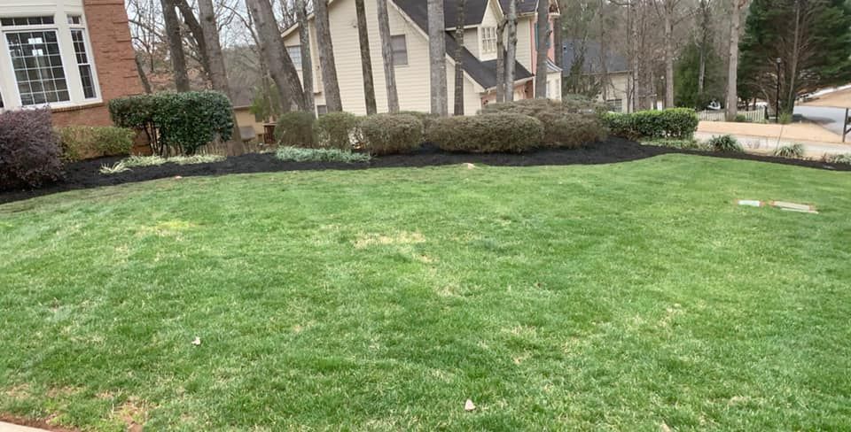 Lawn Maintenance for Adams Landscape Management Group LLC. in Loganville, GA