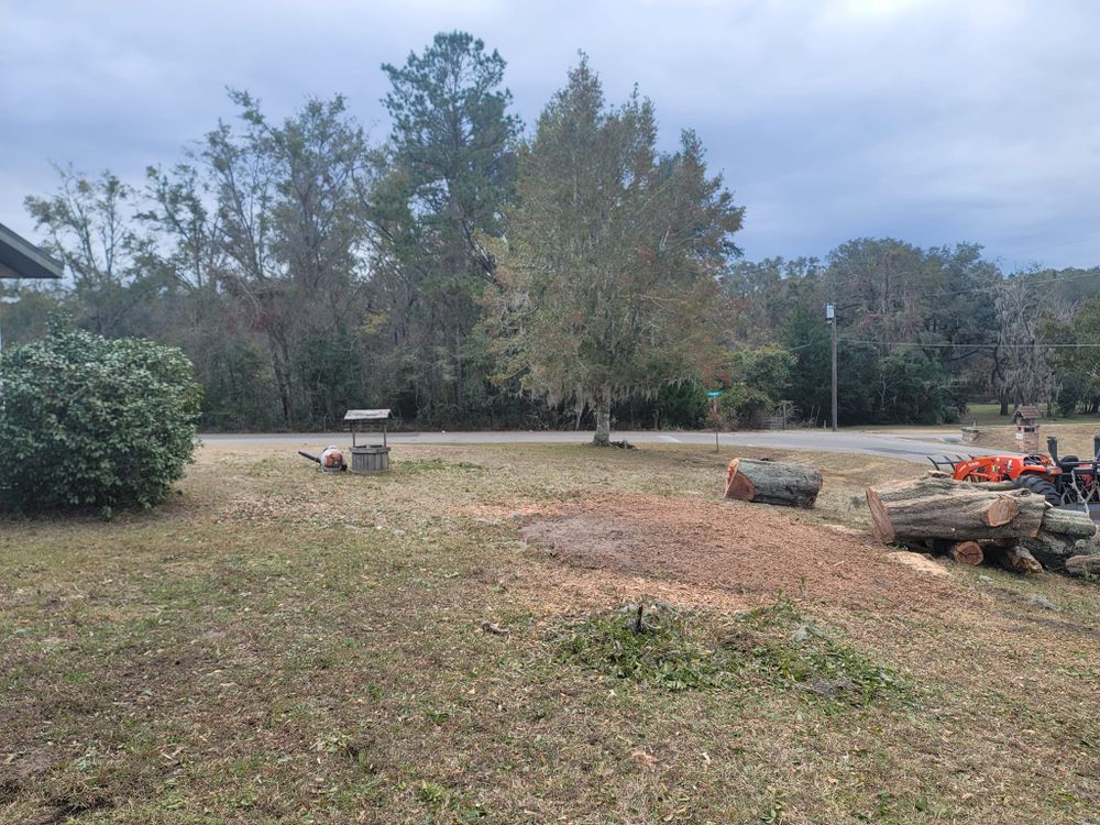 Our Tree Removal service ensures safe, efficient removal of unwanted or hazardous trees, protecting your property and enhancing its beauty with minimal disruption. Our skilled team prioritizes professionalism and environmental responsibility. for Warners Tree Solutions in Live Oak, FL