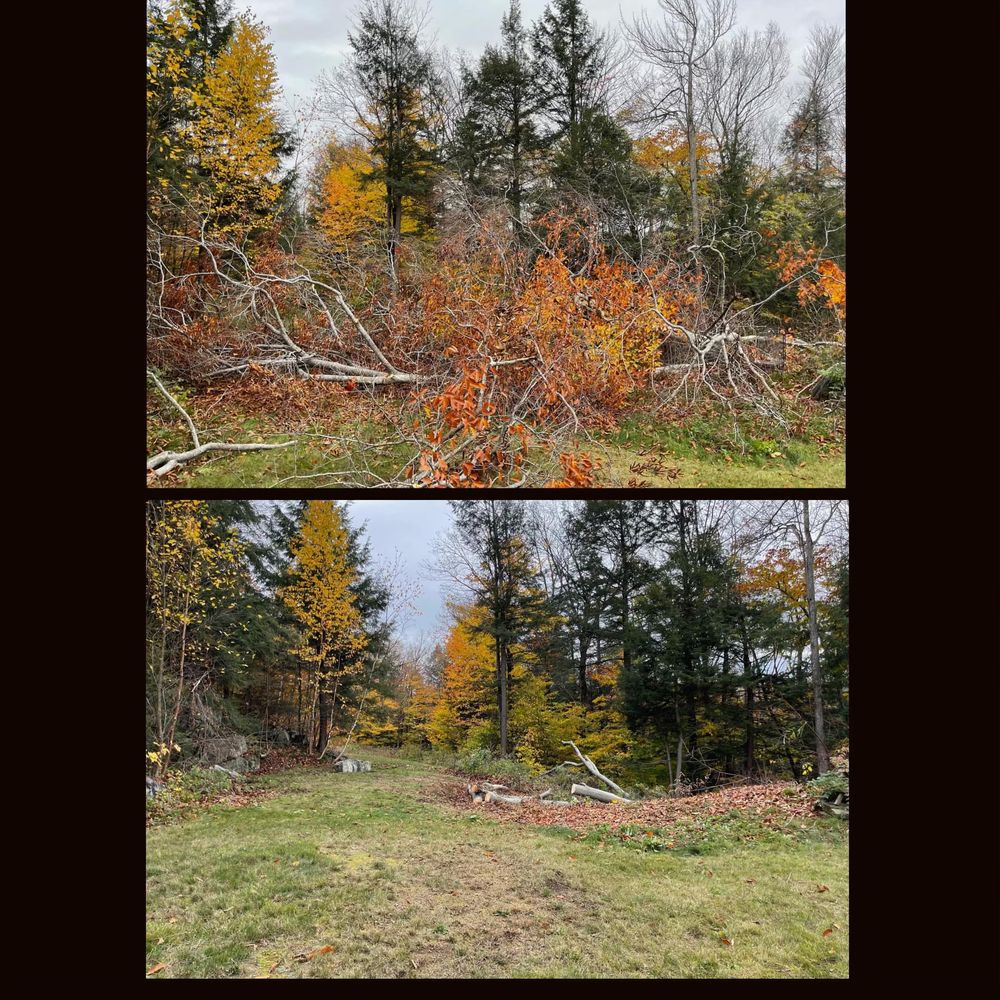 Prepare your yard for the winter with our fall clean up service! Our experienced team will clear leaves, trim trees, prune bushes, and ensure your outdoor space is tidy before the season changes. for Willett's Forest and Property Maintenance in 03278, NH