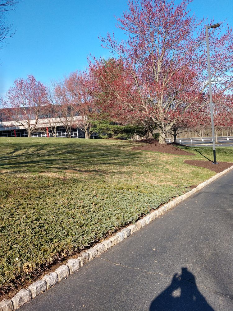 All Photos for Ettere Landscape Services in Flemington, NJ