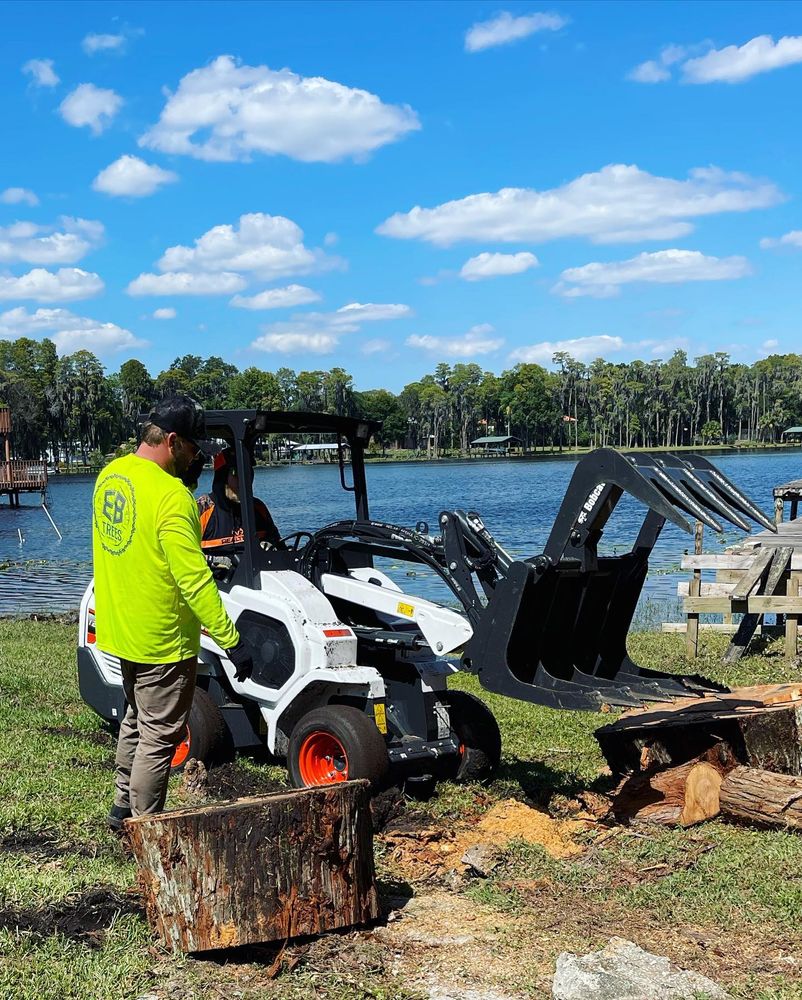 Our Stump Removal service efficiently removes unwanted stumps from your property, improving safety and aesthetics. Using advanced equipment, we ensure thorough removal, leaving your landscape ready for new possibilities. for EB Trees and Landscape in Holiday, FL