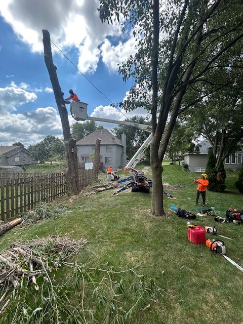 All Photos for Cross Family Tree Service in Kearney, MO