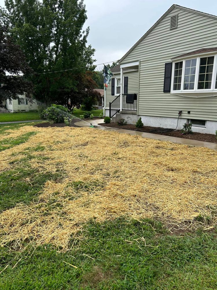 Projects for Pronovost Landscaping & Irrigation in Palmer, MA