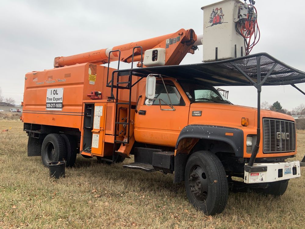 Tree Removal for IOL TREE EXPERTS in Spokane Valley, WA